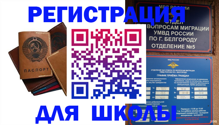 временная регистрация надежно в Петропавловске-Камчатском